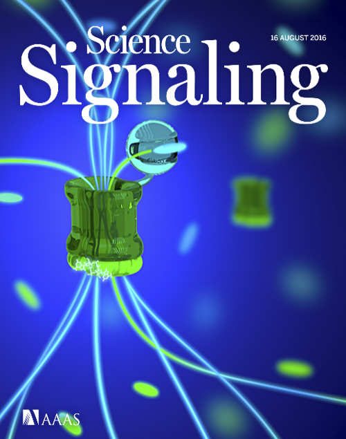 Cover image in Science Signaling of the paper The second messenger c-di-AMP inhibits the osmolyte uptake system OpuC in Staphylococcus aureus